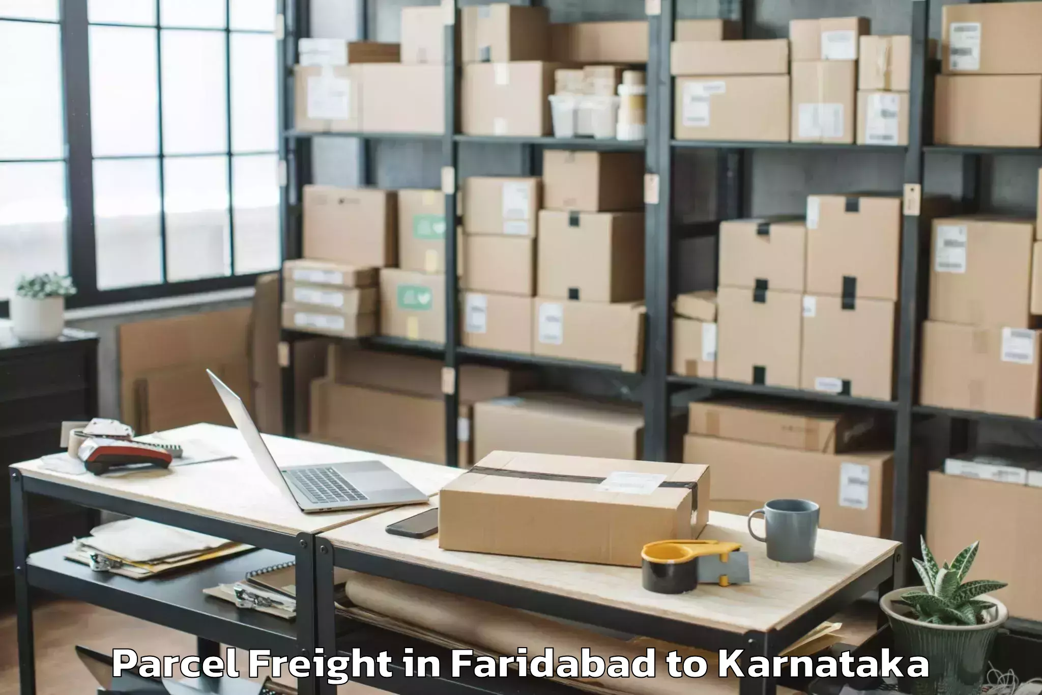 Book Faridabad to Hiriyur Parcel Freight